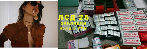 гашик Алексеевка