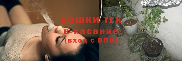 ECSTASY Алзамай