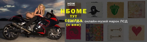 ECSTASY Алзамай