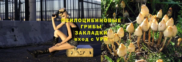 гашик Алексеевка