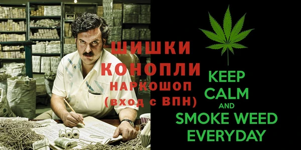 ECSTASY Алзамай