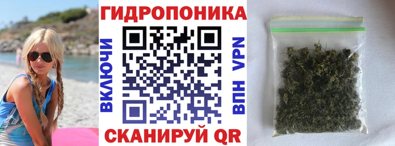 Шишки марихуана THC 21%  Змеиногорск 